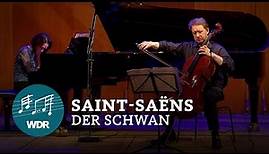 Camille Saint-Saëns – Le Cygne (Der Schwan) | WDR Sinfonieorchester