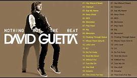 David Guetta Greatest Hits | David Guetta Best Songs Of All Time