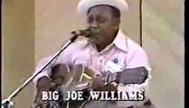 Big Joe Williams ,/ Mississippi Delta Blues Fes 1980