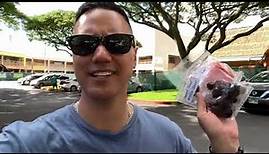 Honolulu Memories | Noelani Elementary | Manoa Valley | Growing Up in Hawai’i | Da Spencer Adventure