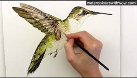 How to paint realistic hummingbird feathers in watercolor by Anna Mason