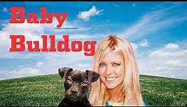 Baby Bulldog - Full Movie | Animal Comedy Drama | Great! Hope