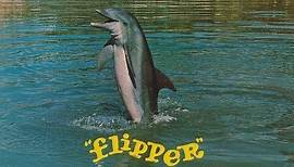 Flipper - Intro [1964]