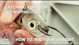 Catching Kingfish: How to rig a live bait - deep dropping or slow trolling