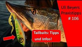 Jerkbait Hecht: Tailbaits - 3 Tipps und Tricks, Livebisse