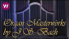 Organ Masterworks by J.S. Bach (Pipe Organ of St. Thomas Church, Leipzig)