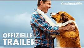 BAILEY - Ein Hund kehrt zurück I Offizieller Trailer