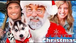A Dog for Christmas 2015 Film | Christmas Staycation