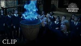 Triwizard Tournament Nominations | Harry Potter and the Goblet of Fire