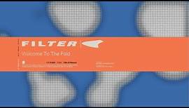 Filter - Welcome To The Fold (Title of Record, Remastered & Expanded)