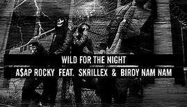A$AP Rocky (Ft. Birdy Nam Nam & Skrillex) – Wild for the Night