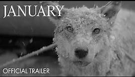 January - Trailer | In Select Cinemas & On Demand 27 January