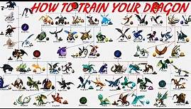 How To Train Your Dragon: Dragons, Dragon Classes And Eggs