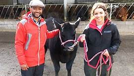 Down on the Farm - Series 3: 2. Cows in Spring and Cauliflowers