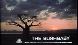 The Bushbaby - Opening credits / "Kwaheri" (MGM, 1969)
