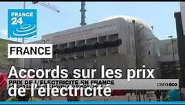 France : l'Etat et EDF s'accordent sur un prix de l'électricité • FRANCE 24