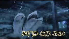 3-Headed shark attack (All Shark Scenes)