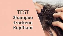 Shampoo für trockene Kopfhaut Test 2024: Die 5 top Shampoos