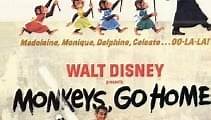 Schmeißt die Affen raus (1967) - Film Deutsch