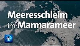 Türkei: Schleimplage im Marmarameer