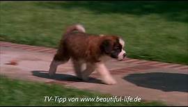 Ein Hund namens Beethoven (TV-Tipp vom 05.01.2021)