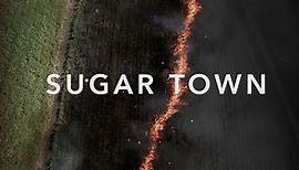 Sugar Town Season 1 Episode 1