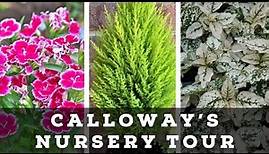 2022 GARDEN Nursery Tour - Calloway's || Plant Nursery Tour || Garden Center Tour 2022 || Zone 8a