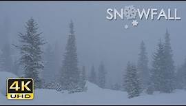 4K Snowfall - Peaceful Snowing - Snow Falling - Relaxing Winter Video - Ultra HD - 2160p