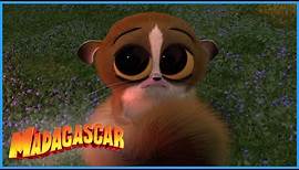 DreamWorks Madagascar | Best of Mort! | Madagascar | Kids Movies