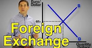 Foreign Exchange Practice- Macro Topic 6.4 and 6.5