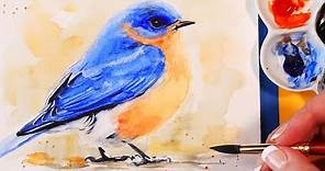 Watercolor Bird Tutorial for Beginners - How to Paint a Bluebird