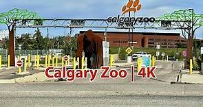 Calgary Zoo | Canada's Most Visited Zoo | One of the Top Zoos in the World | Summer Walk | 4K