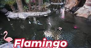 Flamingo Las Vegas Nov 21