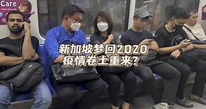 新加坡梦回2020，疫情卷土重来？