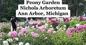 Nichols Arboretum is a great summer destination in Ann Arbor, Michigan. #annarbormichigan #annarbor #nature #seniorpics #flowergarden #nicholsarboretum #umich #universityofmichigan