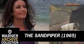 Open | The Sandpiper | Warner Archive