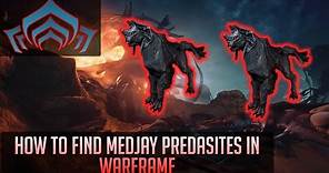How to find Medjay Predasites and get Medjay Predasite Tags in Warframe