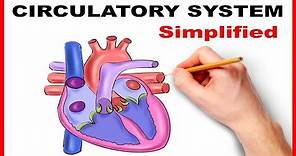 Circulatory System Physiology (Heart) Simplified