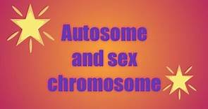 Autosome and sex chromosome by Priti Sharma life science