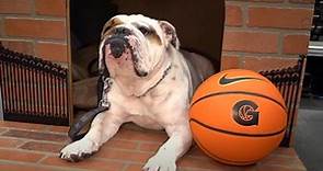 Georgetown University mascot Jack the Bulldog dies