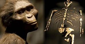 La historia de Lucy: ¿por qué es considerada el fósil que reescribió la evolución humana?