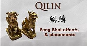 The Mystical Power of Qilin in Feng Shui