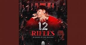 12 Rifles