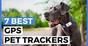 Best Gps Pet Trackers in 2024 - How to Choose a Tracker to Keep an Eye on your Pet?