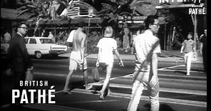 A Trip To Honolulu (1966)