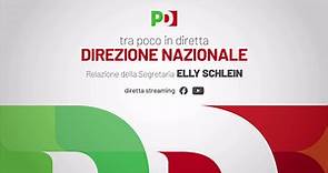 Direzione nazionale del Partito Democratico - Relazione di Elly Schlein