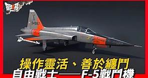 【F5】操作靈活、善於纏鬥，空戰表現優於米格-21的“自由戰士”——F-5系列戰鬥機