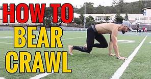 How to Crawl - Beginners Guide to Crawling