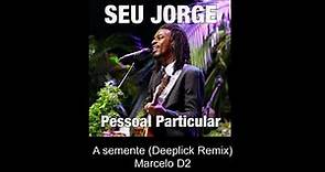 Seu Jorge - Pessoal Particular (DeepLick Remix)