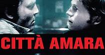 Città amara - Fat City - film: guarda streaming online